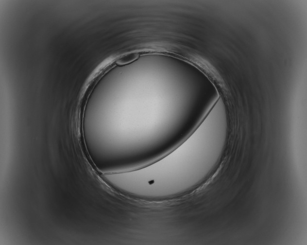 X0000086011180200703230904