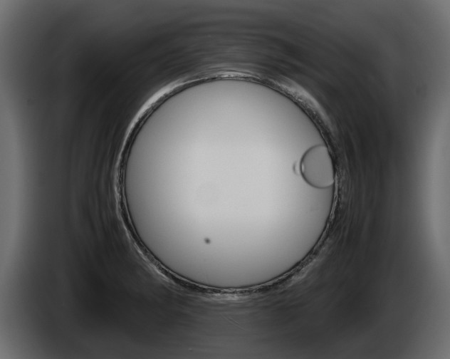 X0000086011182200703230904