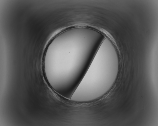 X0000086011183200703230904