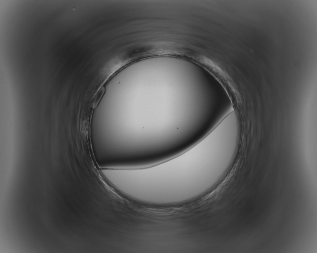 X0000086011185200703230904