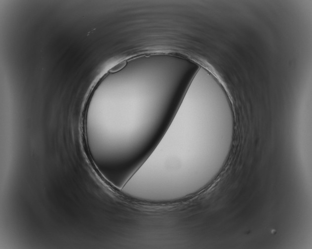 X0000086011187200703230904