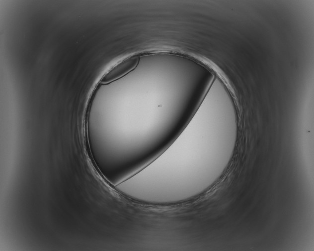 X0000086011191200703230904