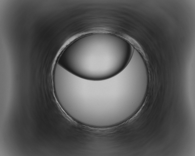 X0000086011192200703230904