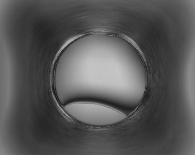 X0000086011195200703230904