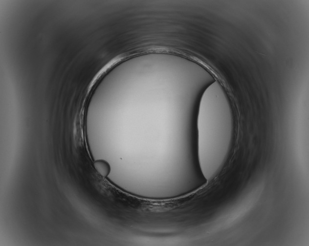 X0000086011198200703230904
