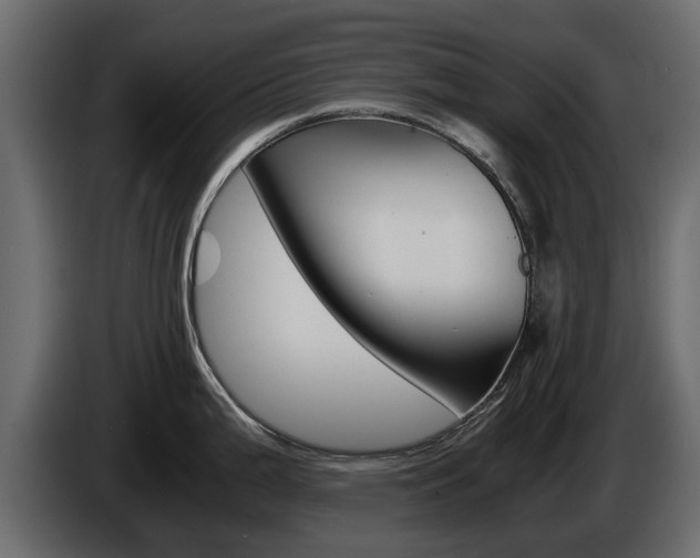 X0000086011199200703230904