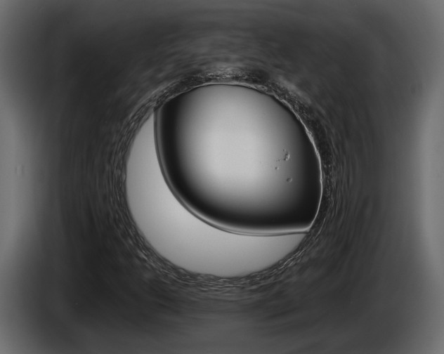 X0000086011206200703230903