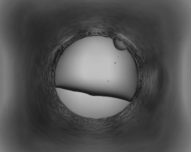 X0000086011207200703230903