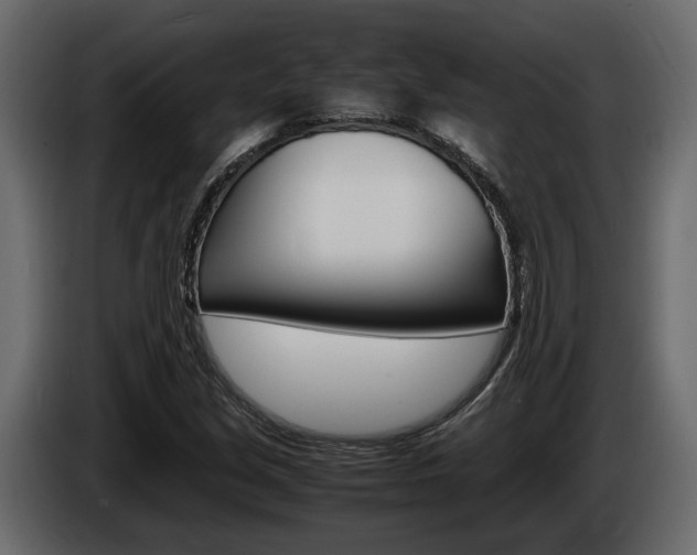 X0000086011213200703230903