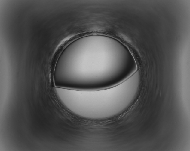 X0000086011214200703230903