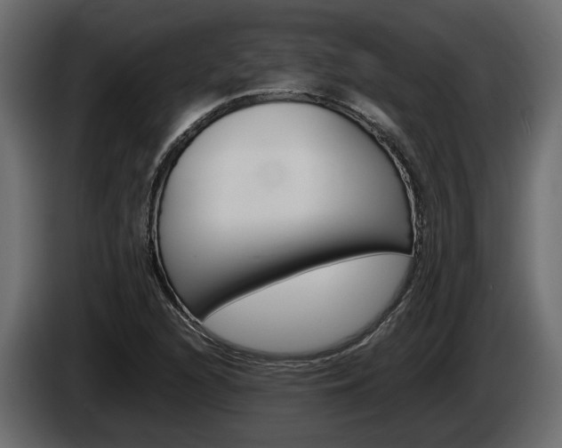 X0000086011216200703230903