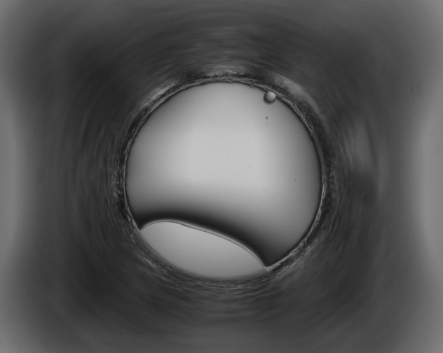 X0000086011217200703230903