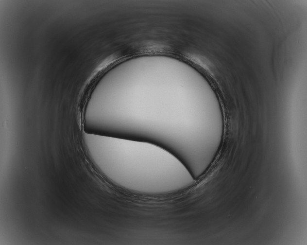 X0000086011219200703230903