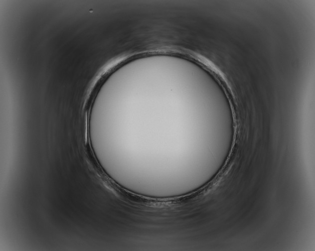 X0000086011223200703230903