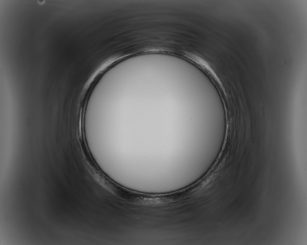 X0000086011227200703230904