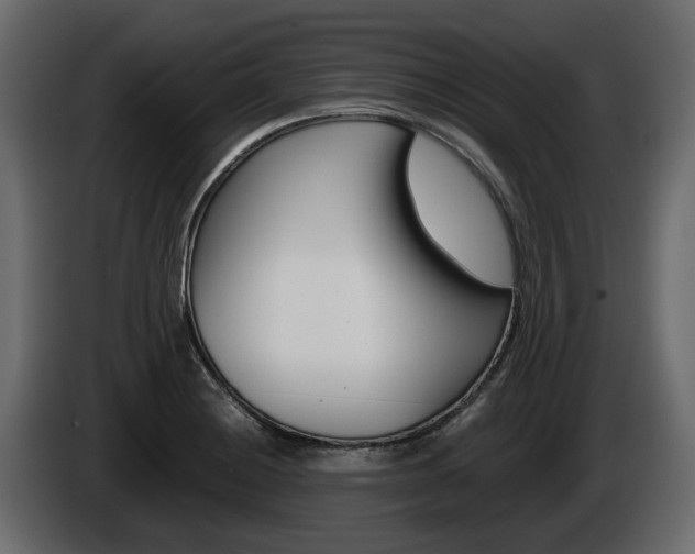 X0000086011228200703230904