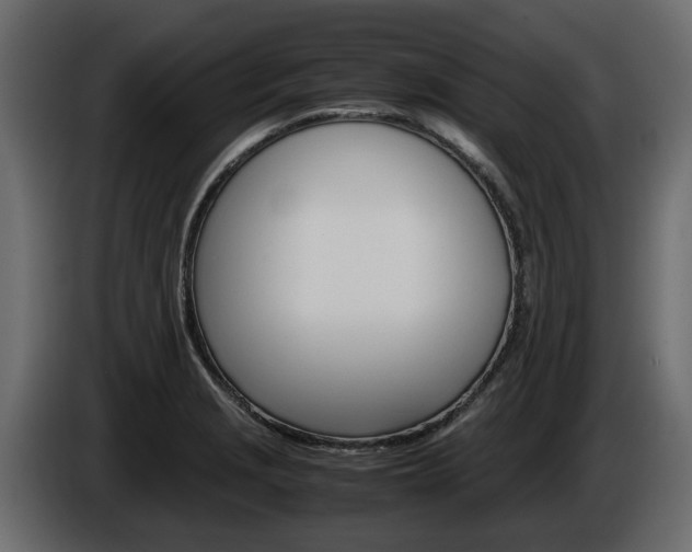 X0000086011229200703230904