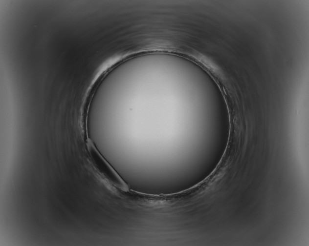 X0000086011230200703230904