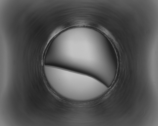 X0000086011234200703230904