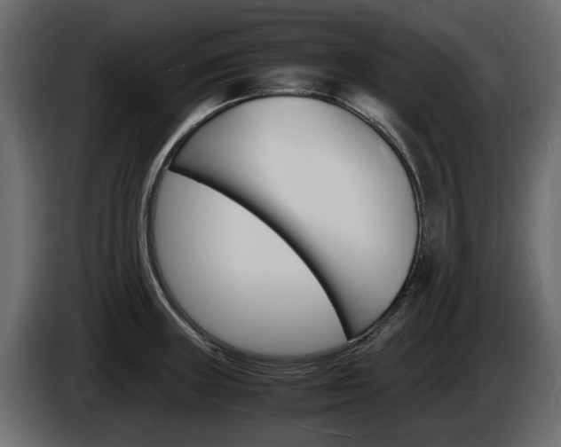X0000086011235200703230904