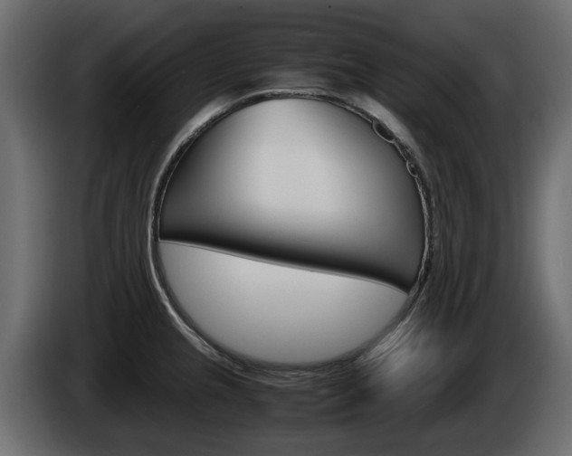 X0000086011237200703230904