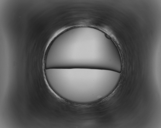 X0000086011239200703230904