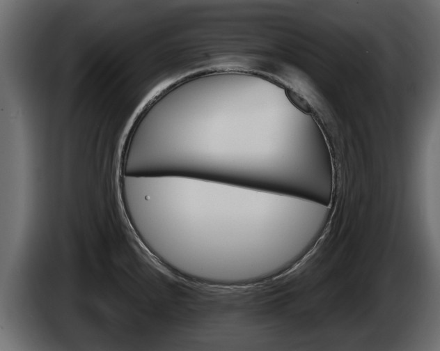 X0000086011240200703230904