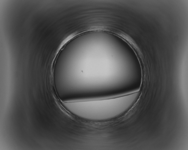 X0000086011242200703230904