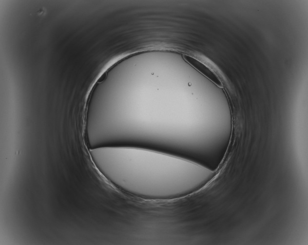 X0000086011244200703230904
