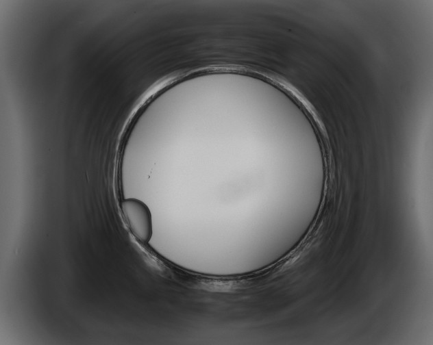 X0000086011245200703230904