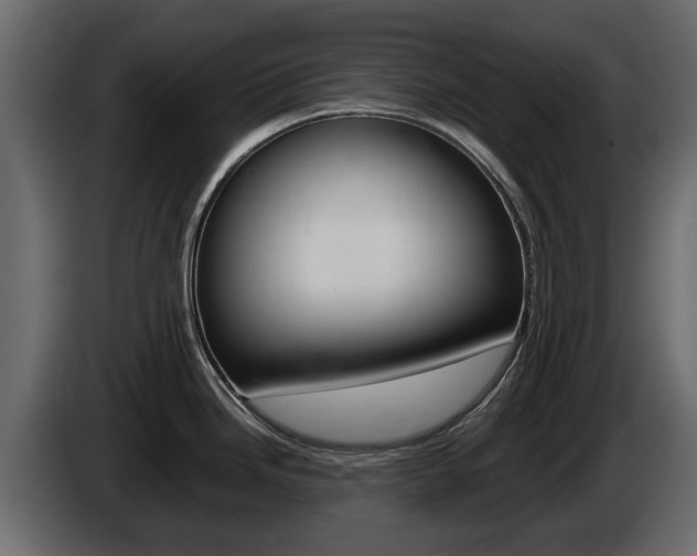 X0000086011246200703230904