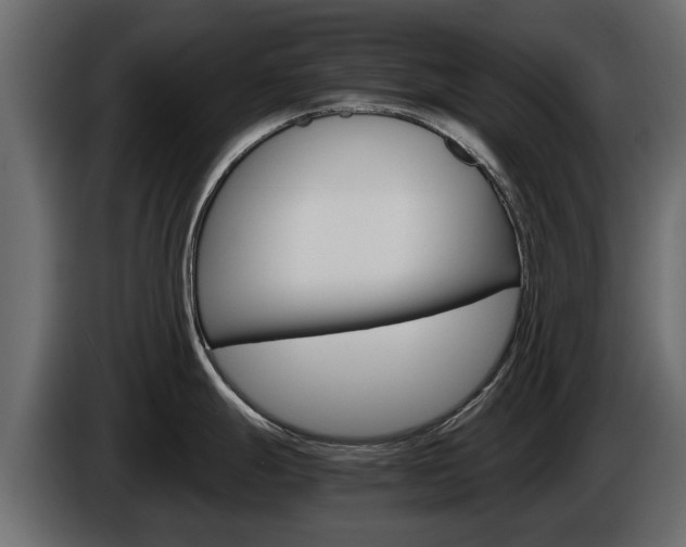 X0000086011247200703230904