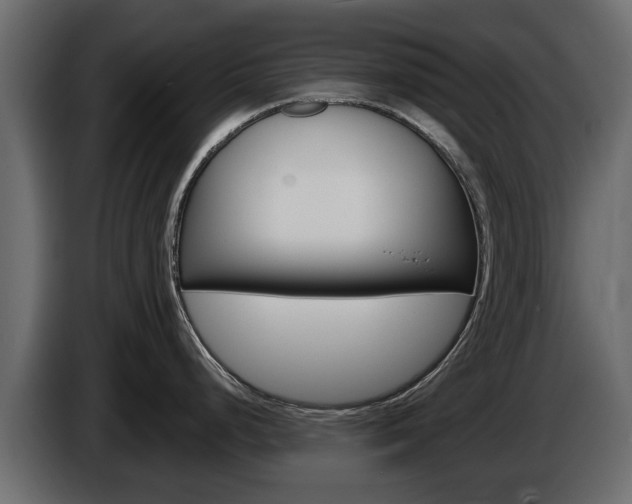 X0000086011248200703230904