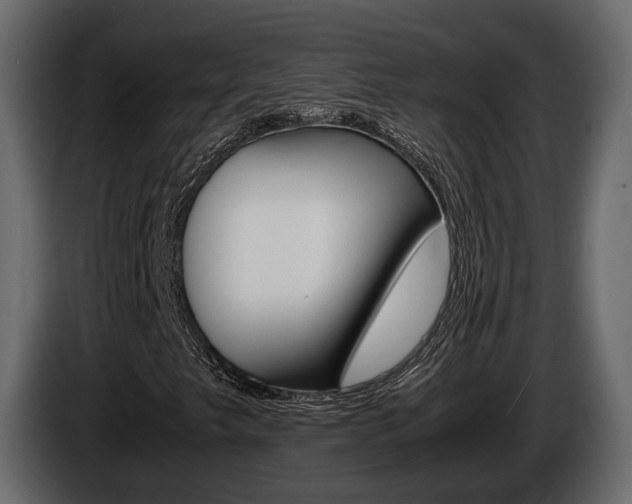 X0000086011249200703230903