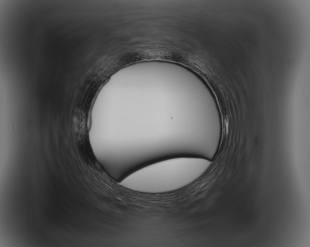 X0000086011251200703230903