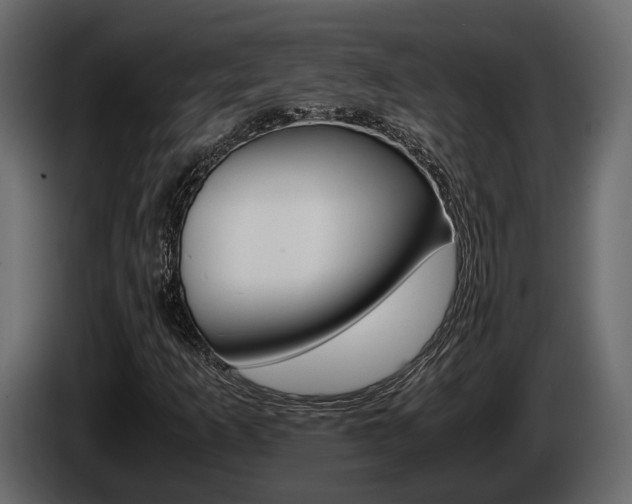 X0000086011253200703230903