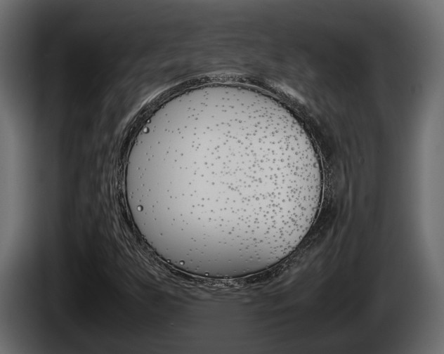 X0000086011255200703230903
