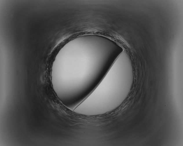 X0000086011256200703230903