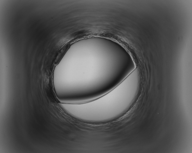 X0000086011257200703230903
