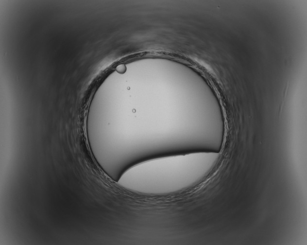 X0000086011263200703230903