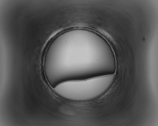 X0000086011264200703230903