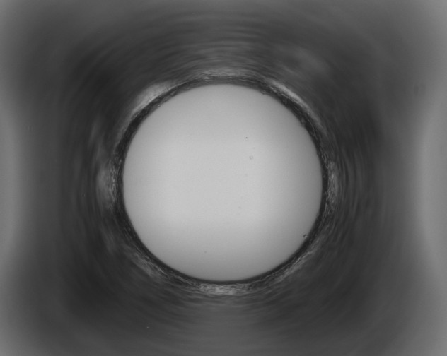 X0000086011266200703230903