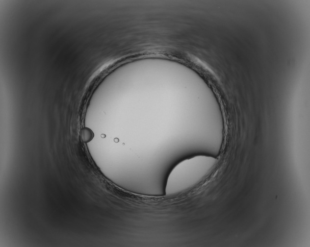 X0000086011267200703230903