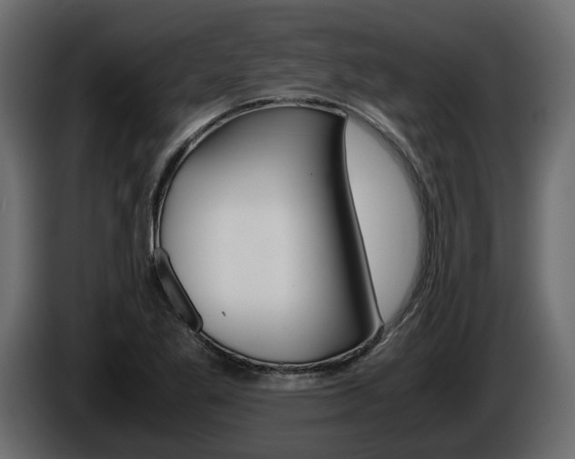 X0000086011269200703230903