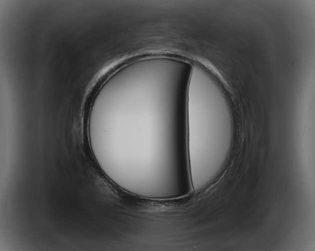 X0000086011270200703230903