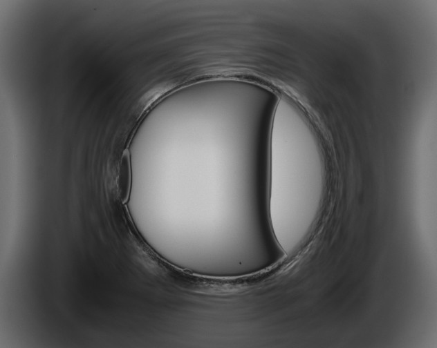 X0000086011273200703230903