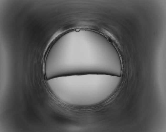 X0000086011275200703230903