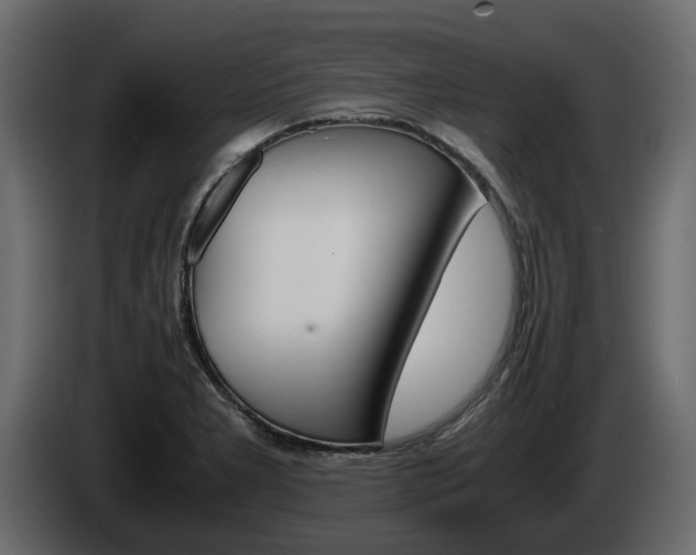 X0000086011277200703230903