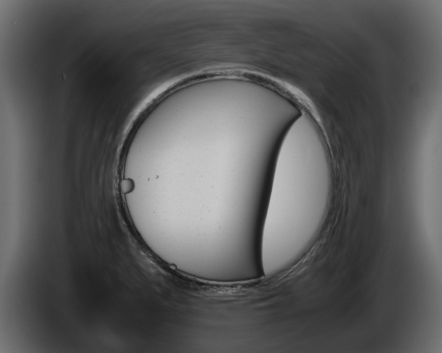 X0000086011279200703230903