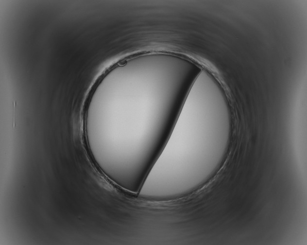 X0000086011280200703230903